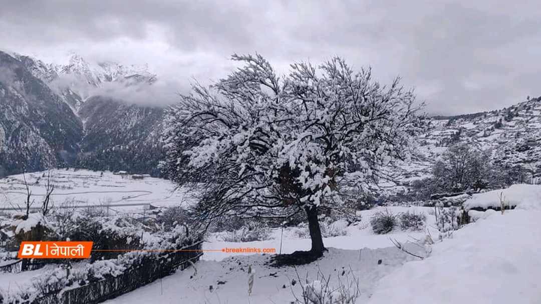 फाइल तस्बिर